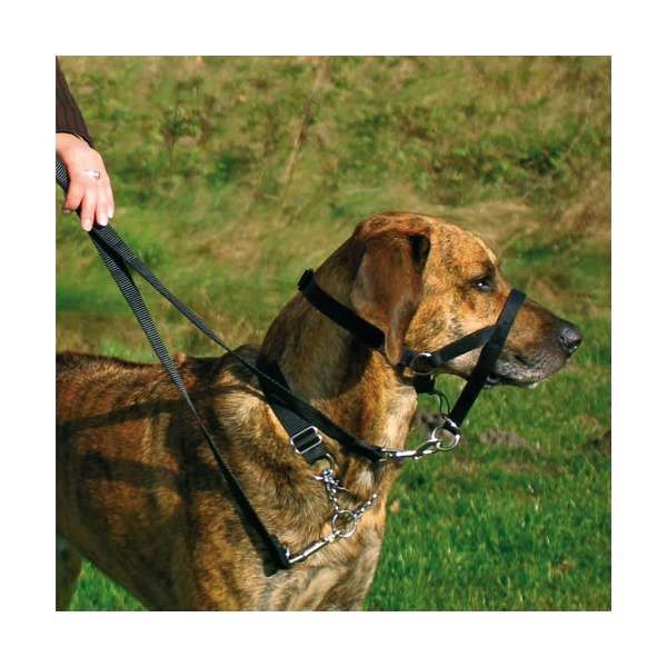 Trixie Top Trainer Ausbildungsgeschirr max. 22 cm – Bild 3