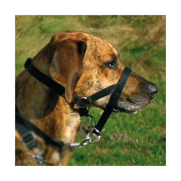 Trixie Top Trainer Ausbildungsgeschirr max. 22 cm – Bild 2