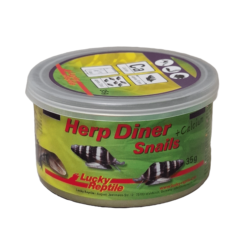 Herp Diner Snails – Bild 2